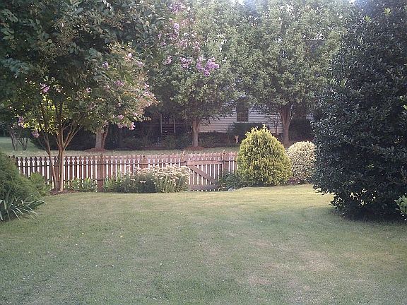 Fenced back yard