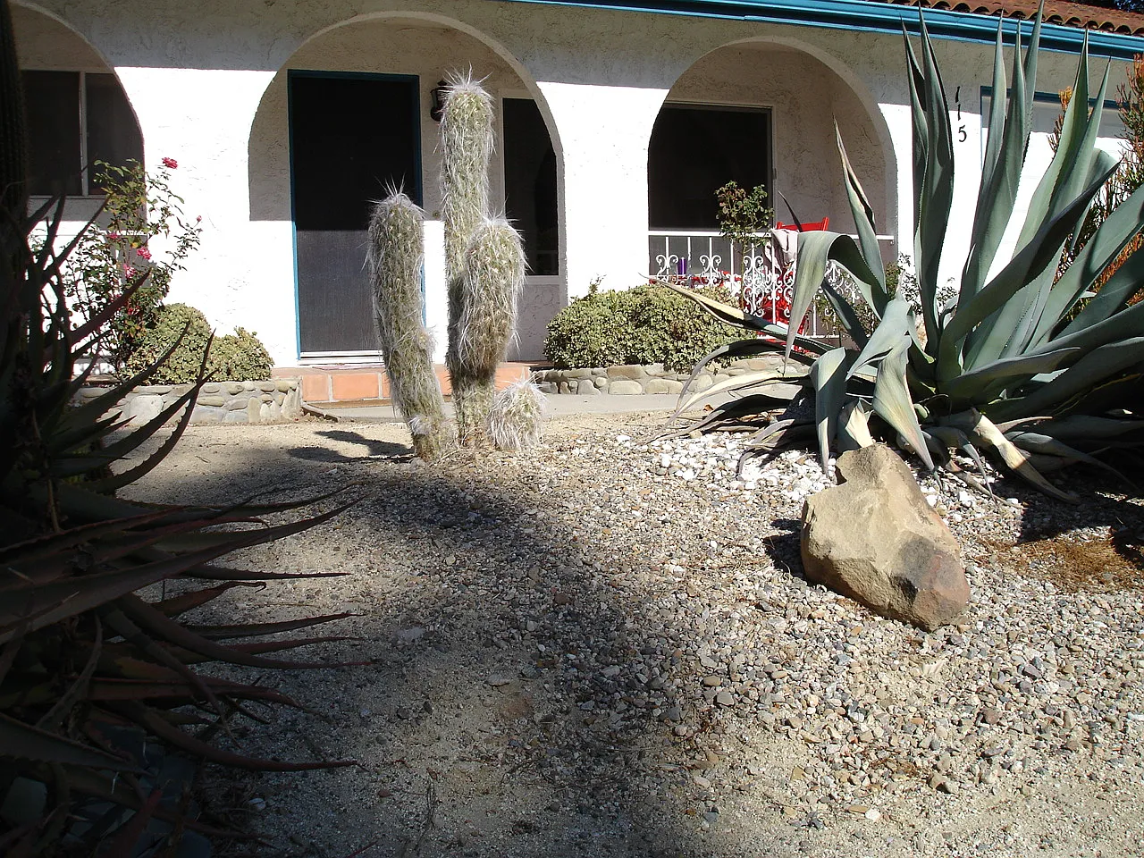 3 bed, 2013 sqft, $3,850 — Photo 3