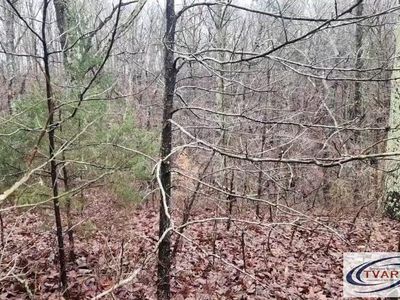 0 Sycamore Dr, Holladay, TN, 38341