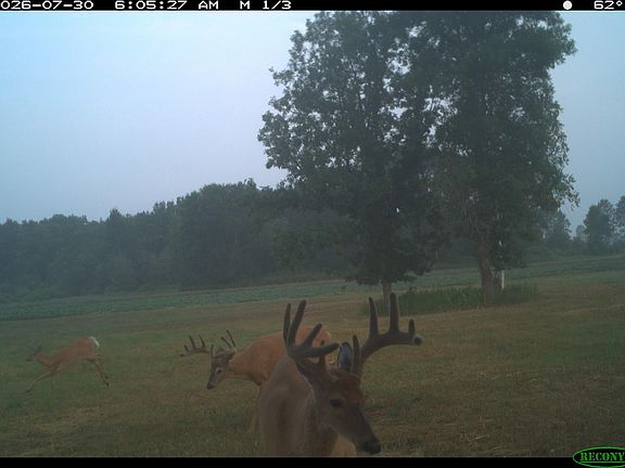4th image of 23348 Howard Rd