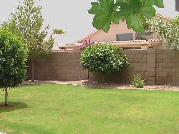 back yard includes grapefruit, lemon 