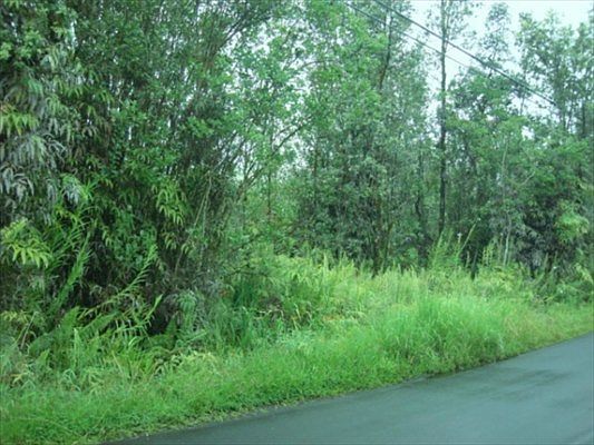 1st image of Plumeria St Lot 6235