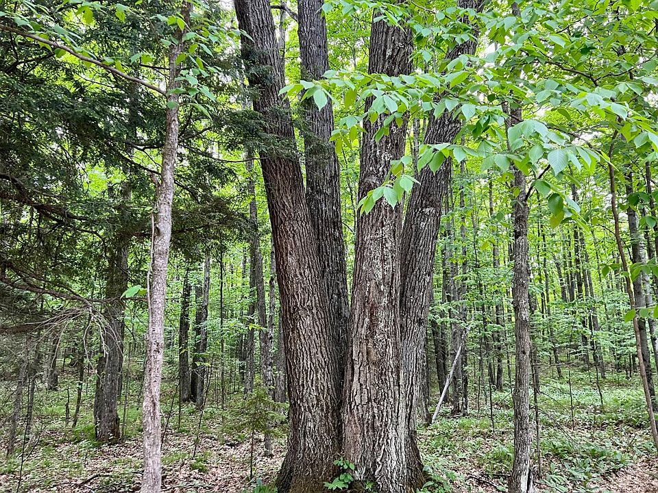 Docs Rd, Summit Lake, WI 54485 Zillow