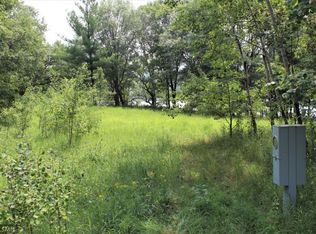 39834 Overshot Ct, Browerville, MN 56438