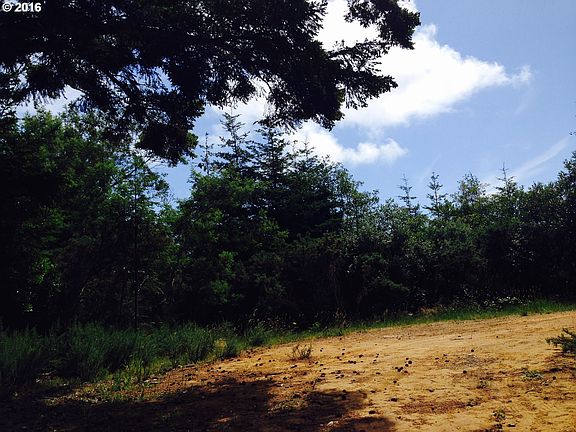 2nd image of Blueberry Ln