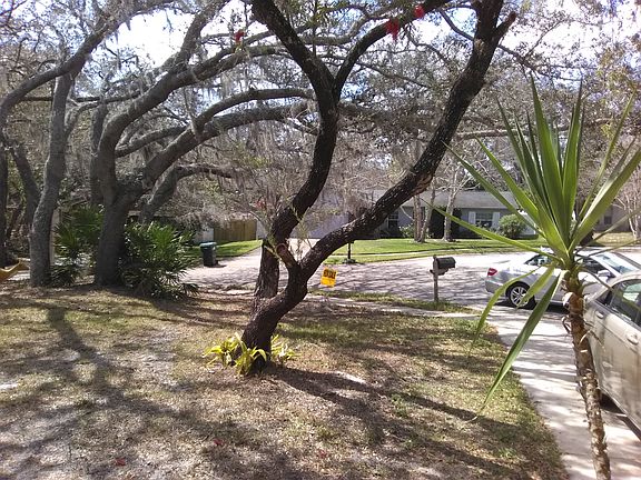 4th image of 2717 Burton Ln