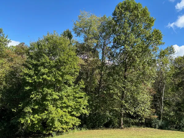 595 Ricky Dr, Talbott, TN 37877
