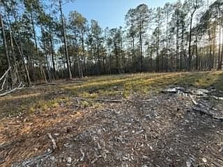 3rd image of 23523 Long Branch Dr