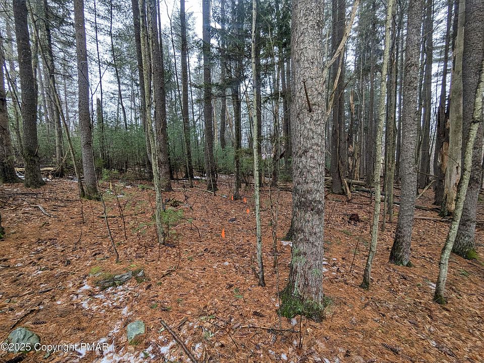 2nd image of 11 Pine Hill Ct