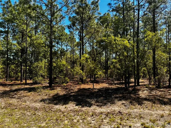 5045 N Lupine Ter, Beverly Hills, FL 34465