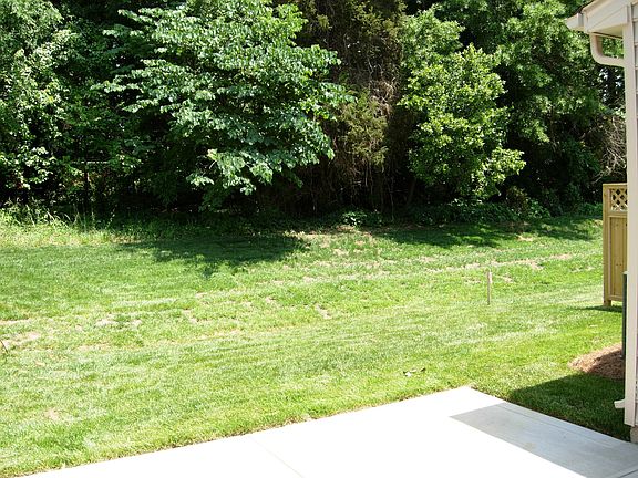 Private, wooded yard