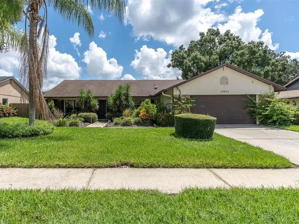 13603 Cozy Pl, Tampa, FL 33625