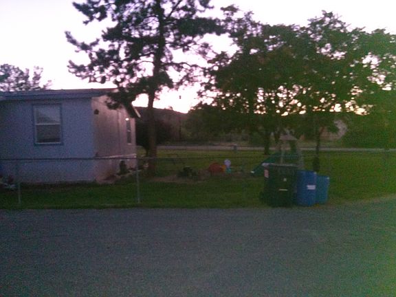very large fenced yard