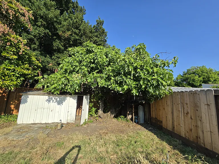 934 Juanita Dr — Photo 39