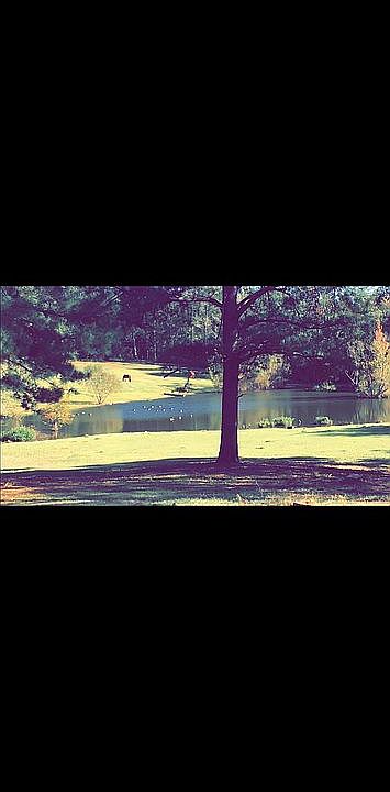 View of pond from main barn