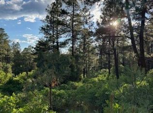 Eagles 2a Rd, Chama, NM 87520