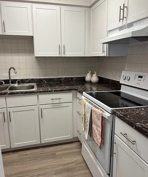 Unit #A-02: 2BED 2 BATH. Kitchen, different angle.