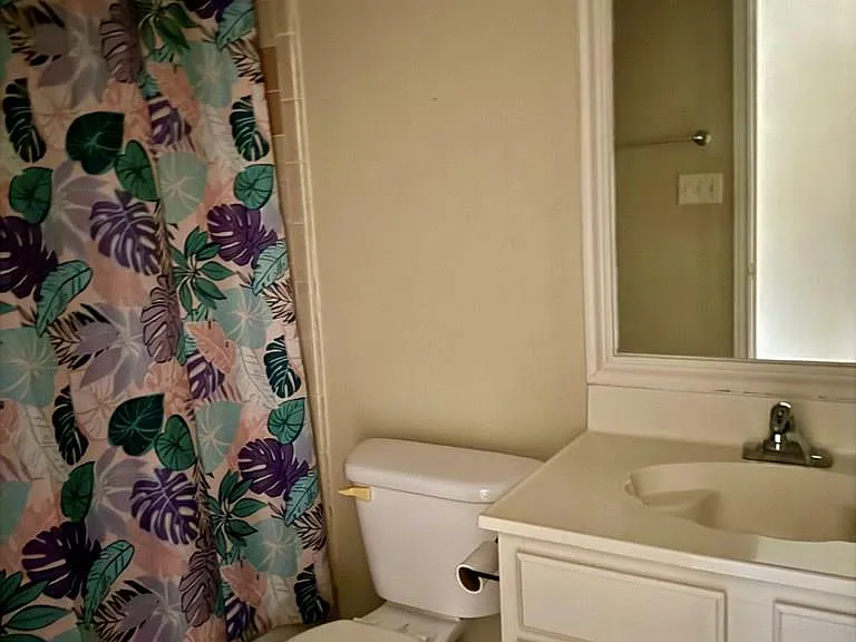 2802 Austrian Pine Ct — Photo 13