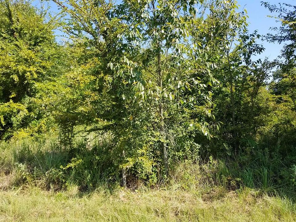 2nd image of 622 Tahiti Ln Lot 622