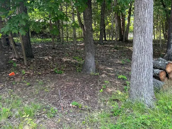 LOT 285 Cardinal Ln, Goreville, IL 62939