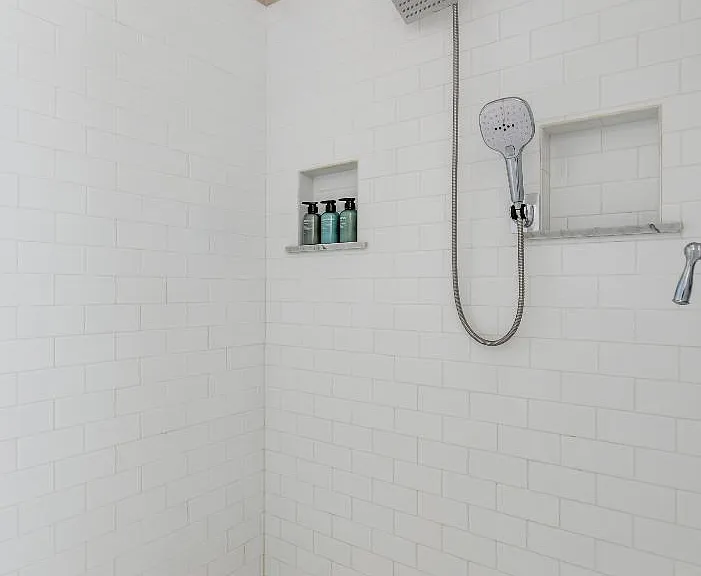 Master Bathroom Walk In Shower