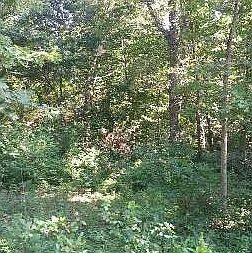 1st image of 10865 Hodge Ln