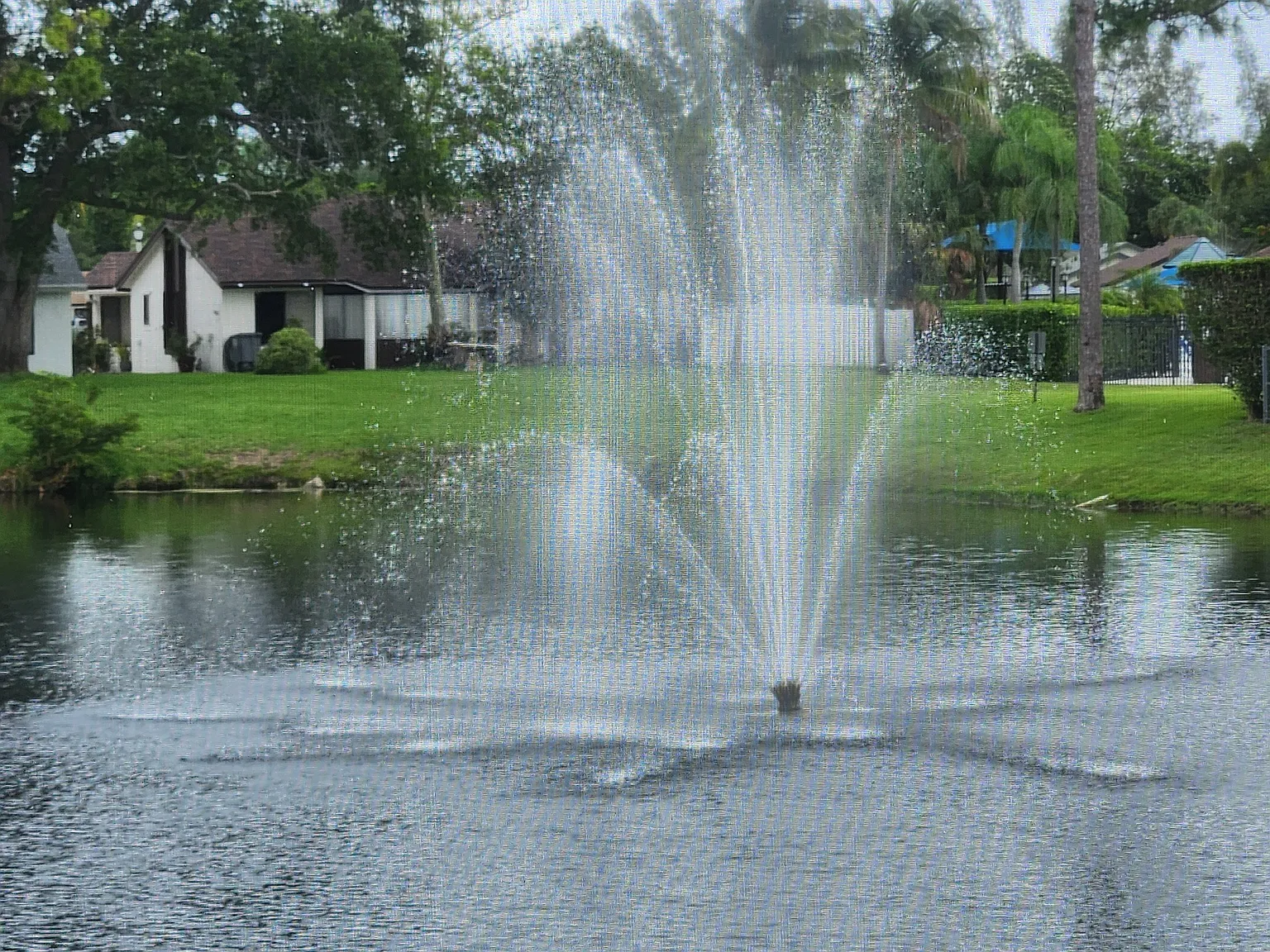 2 bed, 1200 sqft, $2,850 — Photo 4