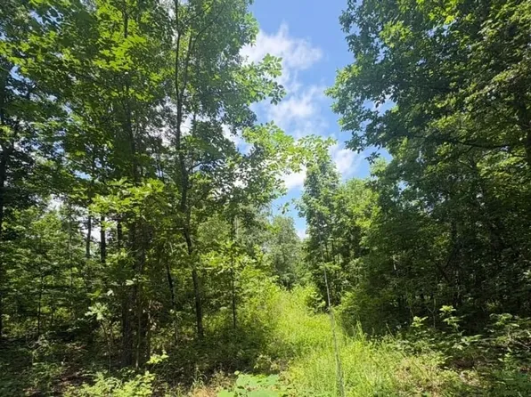 H Hwy, Ellington, MO 63638