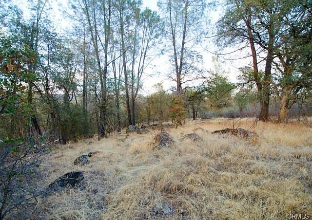 Clearing in the trees and gentle slope.