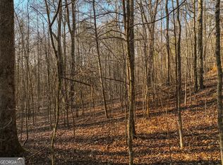 12 Mount Mincie Rd, Murrayville, GA 30564