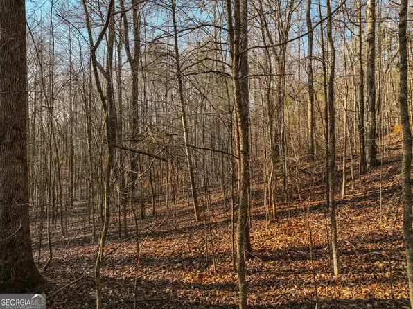 12 Mount Mincie Rd, Murrayville, GA 30564