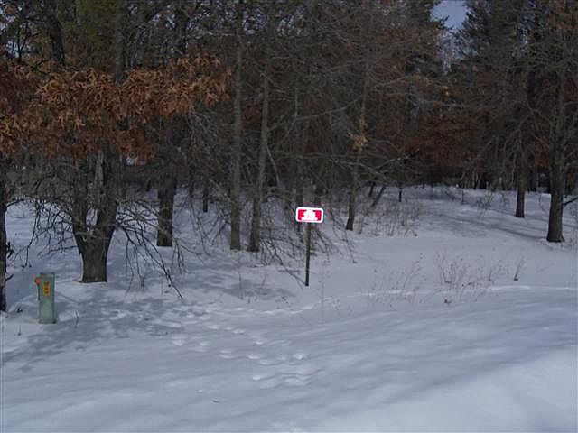 1st image of 974 Wellington Ct