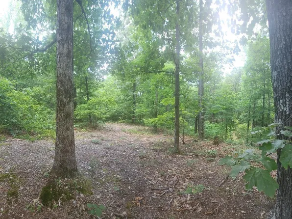 (undisclosed Address), Paragould, AR 72450