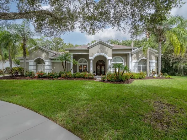 15801 Dawson Ridge Dr, Tampa, FL 33647