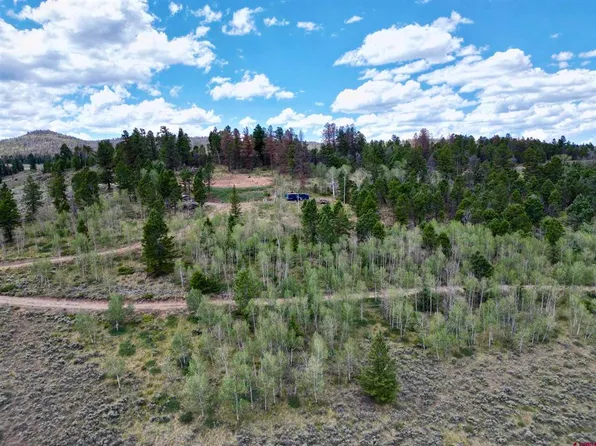 6001 County Road 25, Powderhorn, CO 81243