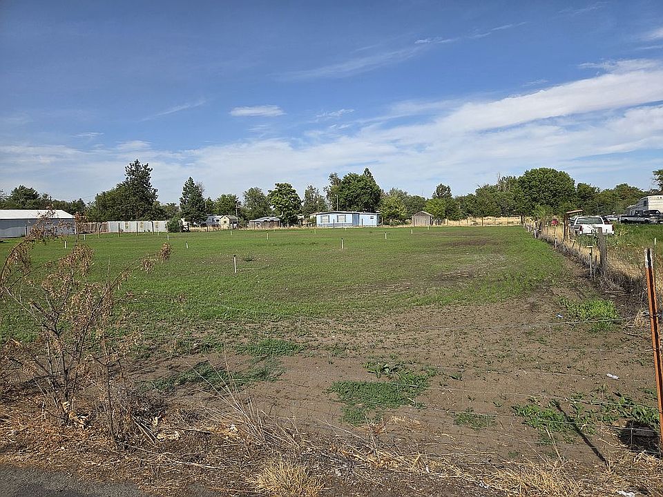 Newly planted pasture