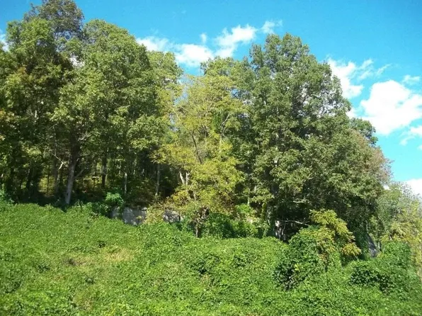 8888 Hales Fork Rd, Dewitt, KY 40930