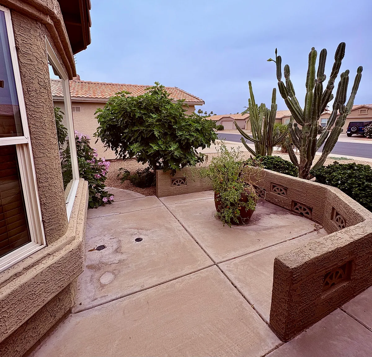 Building Photo - 1444 E Las Colinas Dr