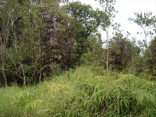 2nd image of Mokehana St Lot 20