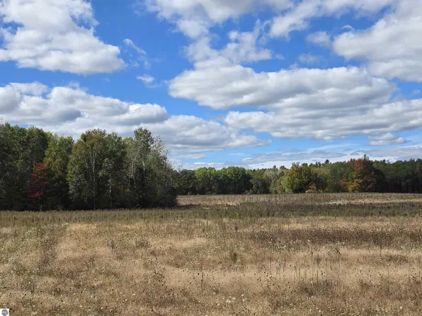 0 Towerline Rd, Hale, MI 48739