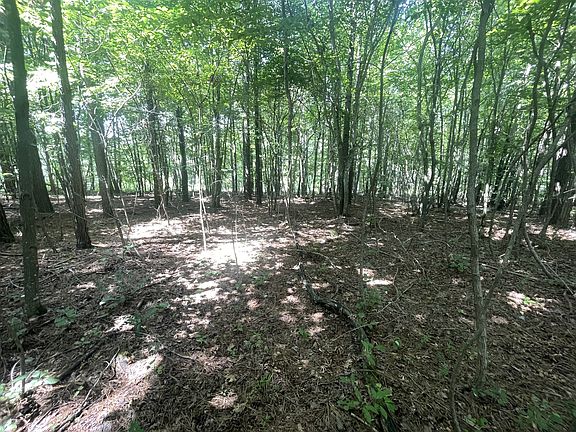 4th image of 0 Tall Woods Ln Lot 8