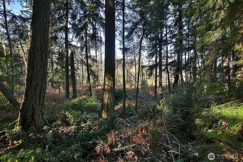 3rd image of 6880 Holst Road