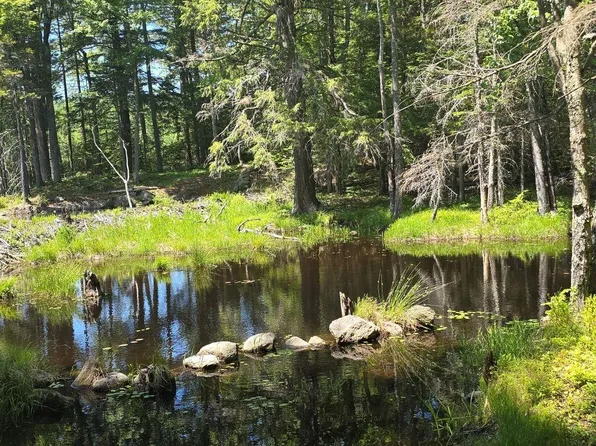 Baine Road Map 47 Lot 1 & Map 11 Lot 2, Marlow, NH 03456