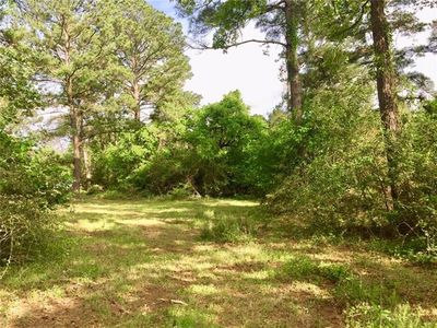 198 Lake View Dr, Smithville, TX, 78957