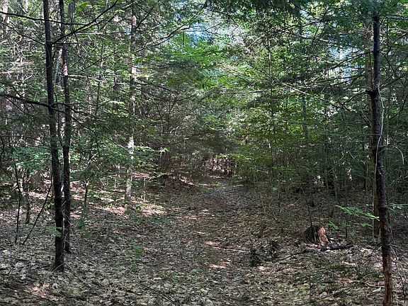 2nd image of 60 Pound Road