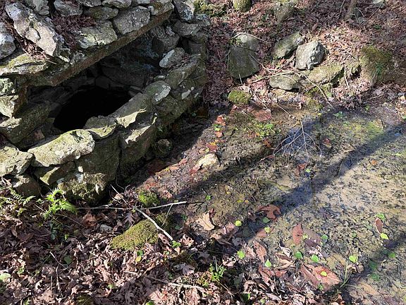 4th image of Polk Rd #13