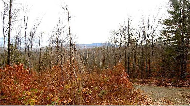 2nd image of 0 Millay Hill Road