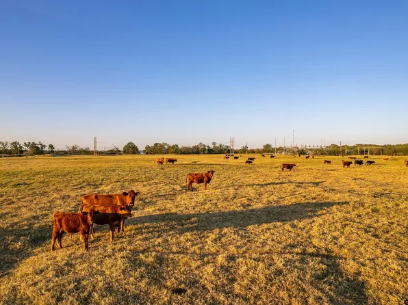 5081 Highway 154 Rd, Yantis, TX 75497