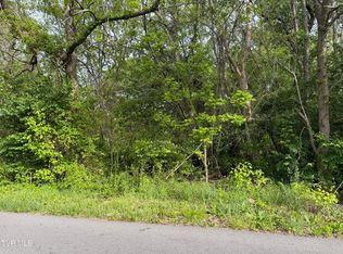 Reedy Creek Rd, Kingsport, TN 37664