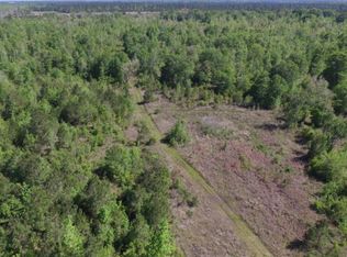 2111 Buck Swamp Rd, Brunswick, GA 31523